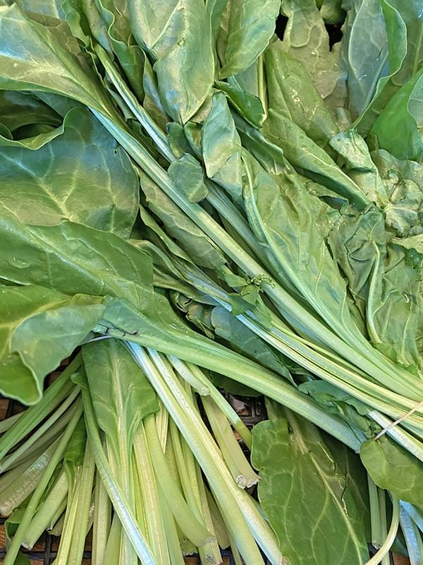 Erbette  500g