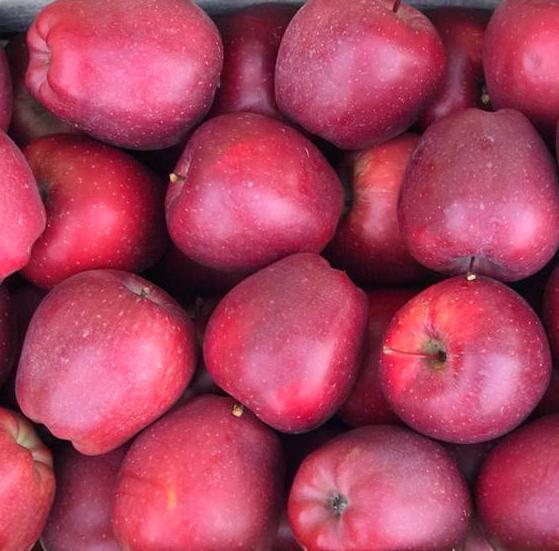 Mele Red Delicious 500g